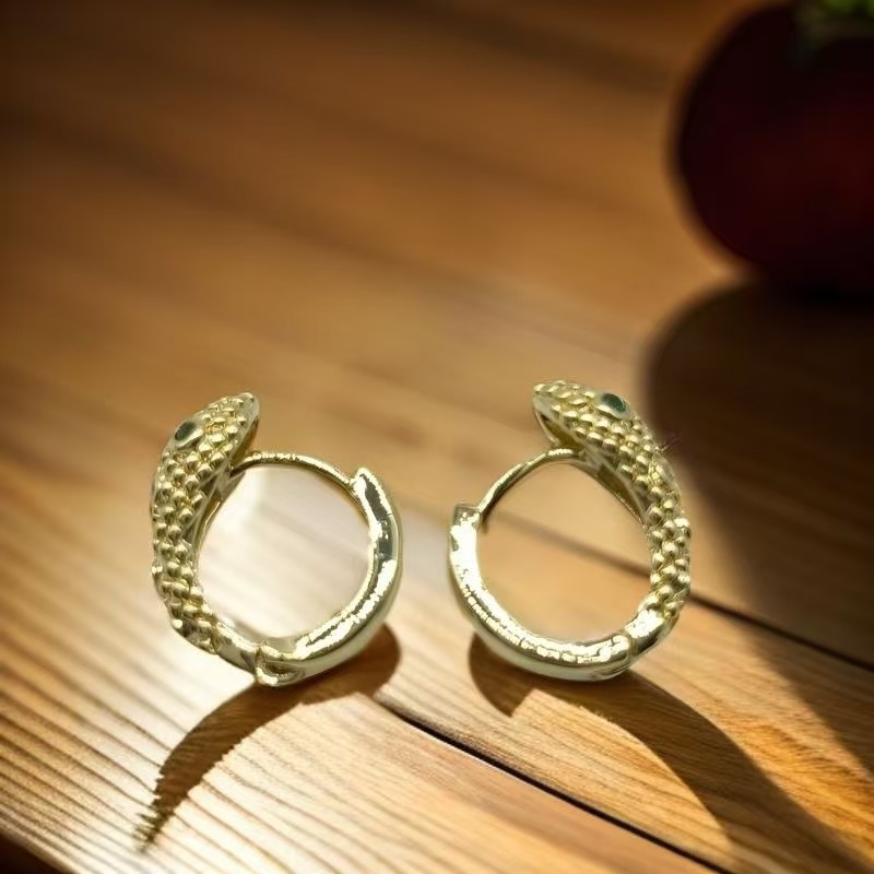 Ethnic Fashion Trends 2025 - 2025 boucles d'oreilles tendance pour femmes